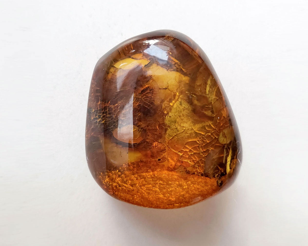 Genuine amber clearance