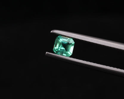 Shakiso Emerald square 4 mm 0.39 ct