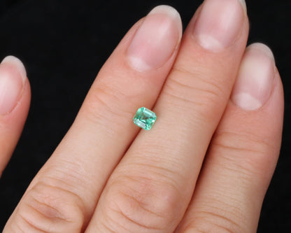 Shakiso Emerald square 4 mm 0.39 ct