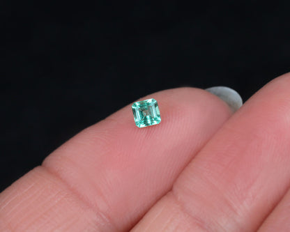 Shakiso Smaragd square 3mm 0,16 ct